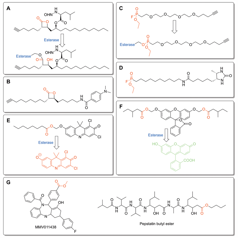 Figure 2: