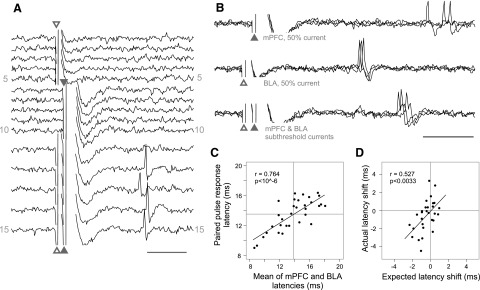 FIG. 9.