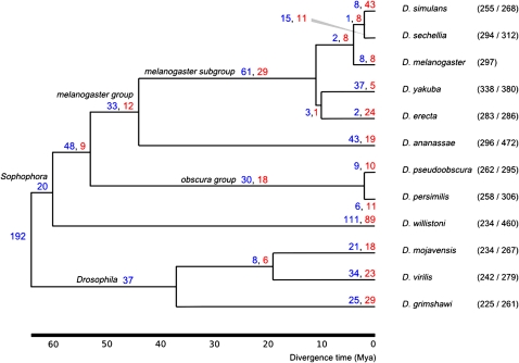 FIG. 2.—