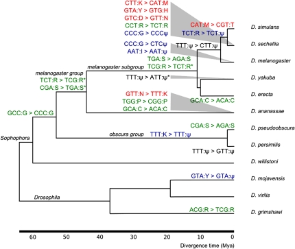 FIG. 4.—