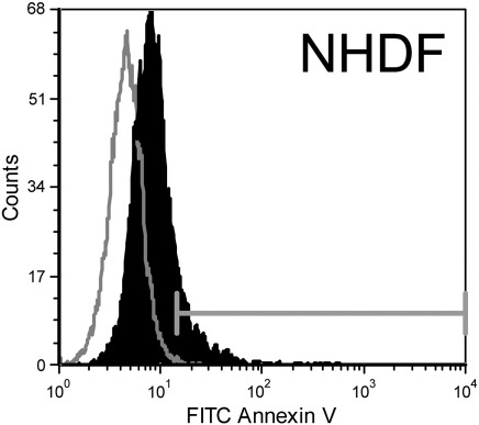 Fig. 1S