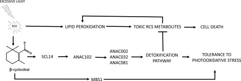 Figure 13.