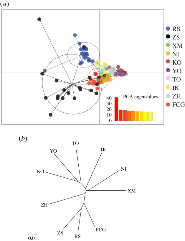 Figure 4.