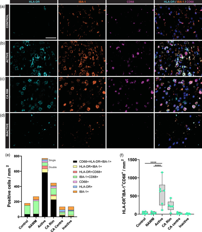 FIGURE 2