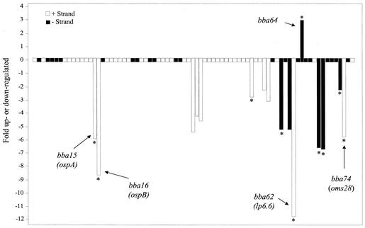 FIG. 5.