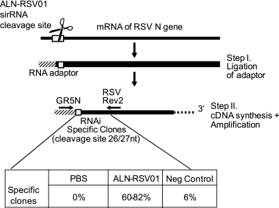 FIG. 8.