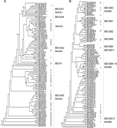 FIG. 2.