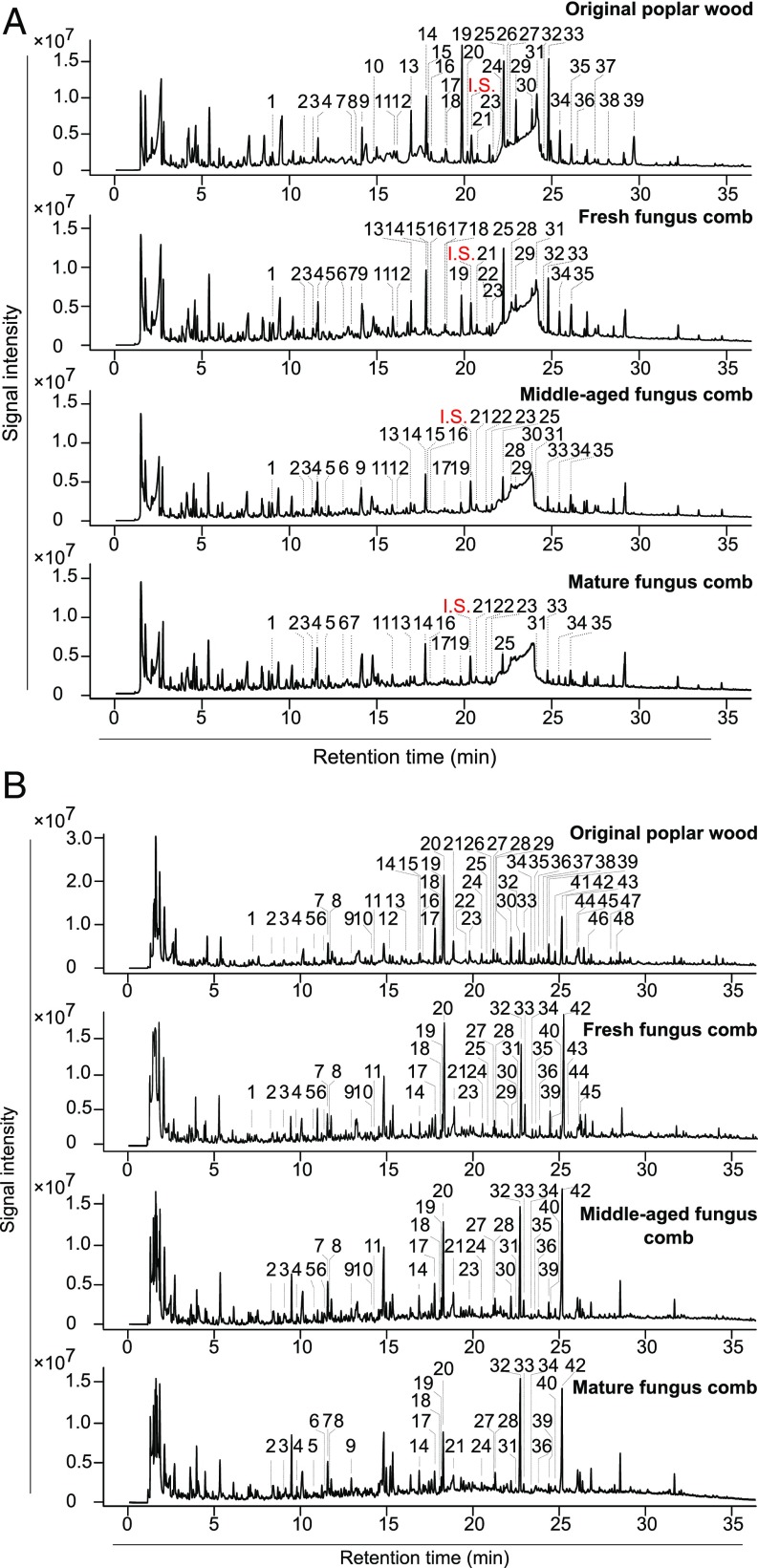 Fig. 4.