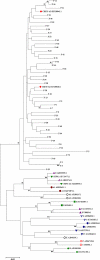 Fig 2