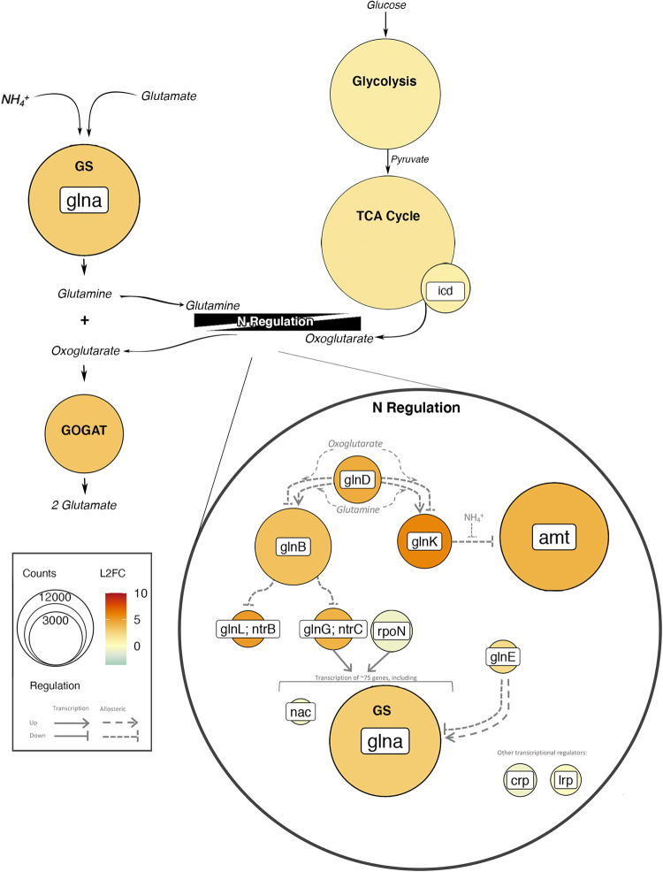 FIG 5