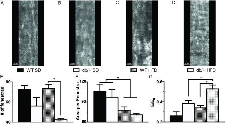 Fig 10