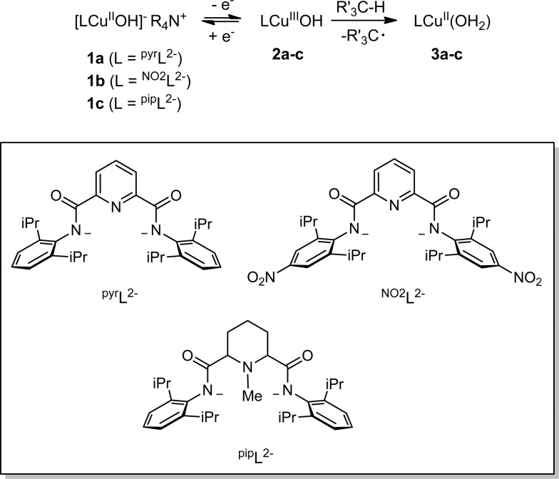 Scheme 1