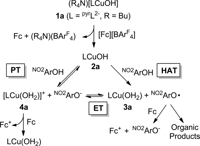 Scheme 4