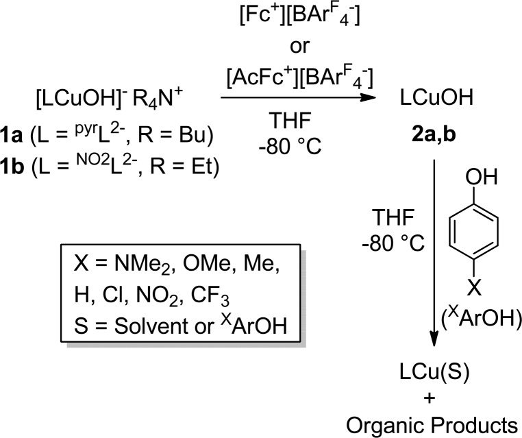 Scheme 2