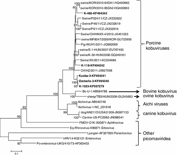 Fig. 1