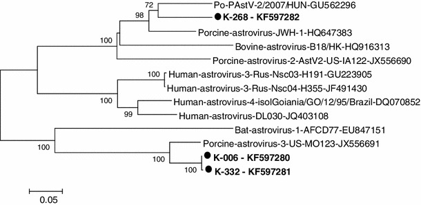 Fig. 2