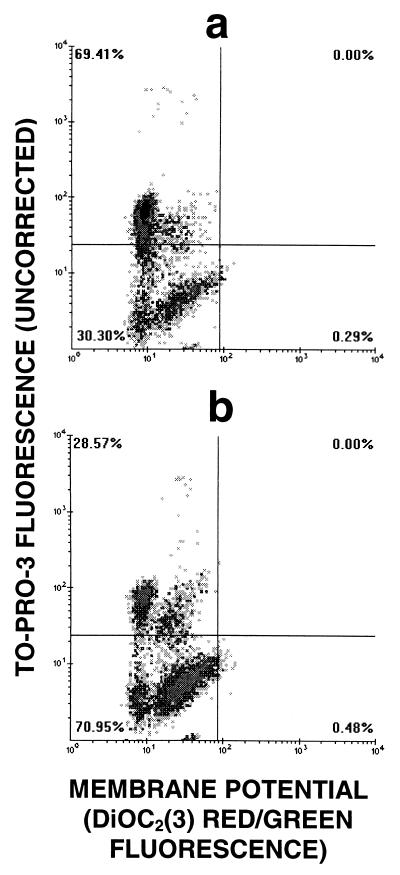 FIG. 5