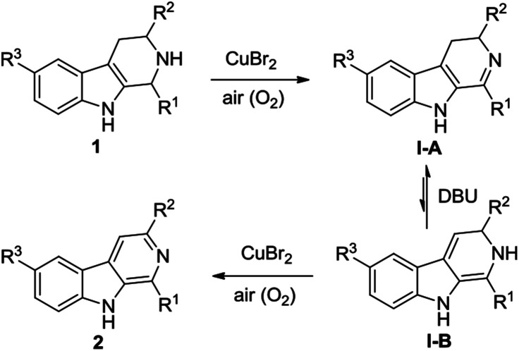 Scheme 1