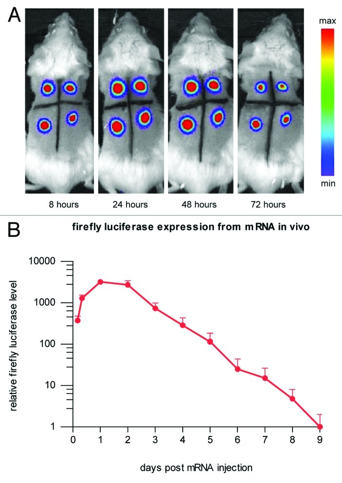 graphic file with name rna-9-1319-g1.jpg