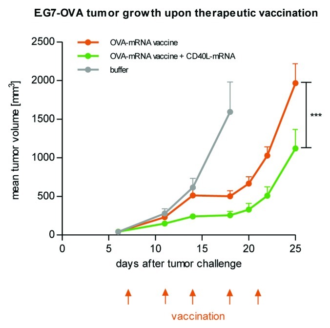 graphic file with name rna-9-1319-g3.jpg