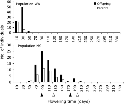 Figure 3.—