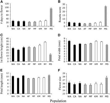 Figure 4.—