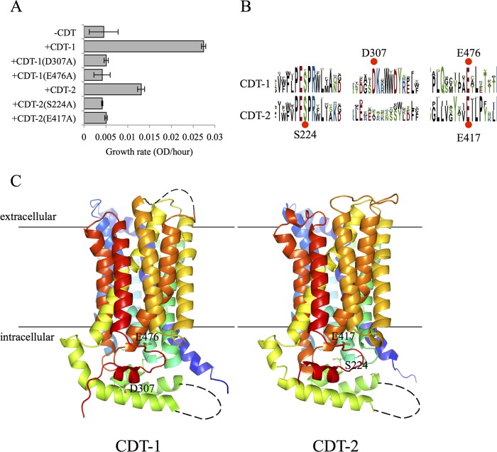 FIGURE 4.