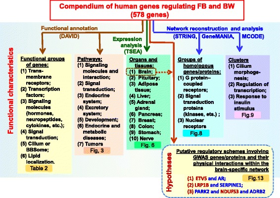 Fig. 14