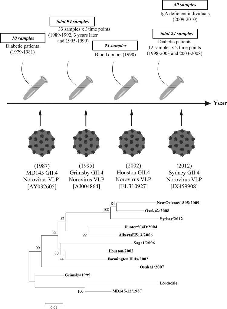 FIG 1