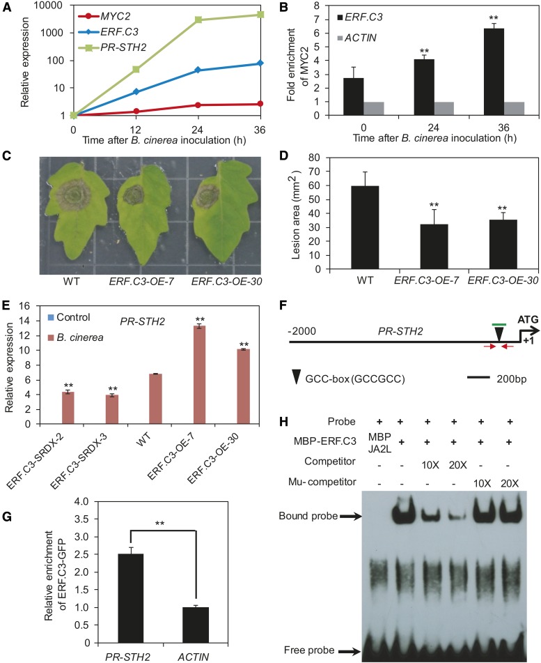 Figure 10.