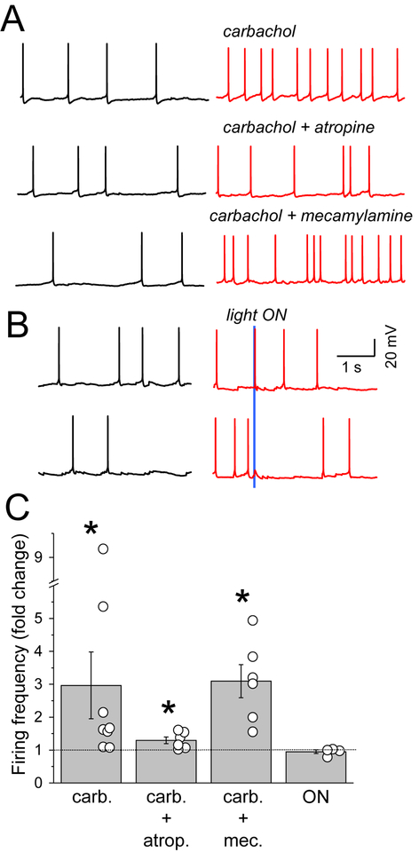 Figure 5.