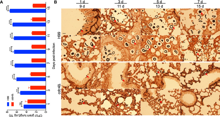 Figure 5