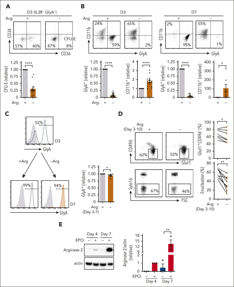 Figure 2.