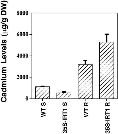 Figure 11.