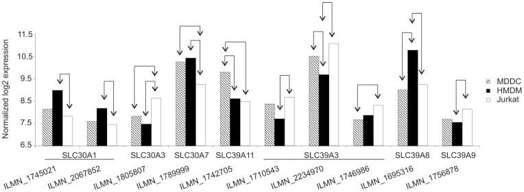 Figure 5