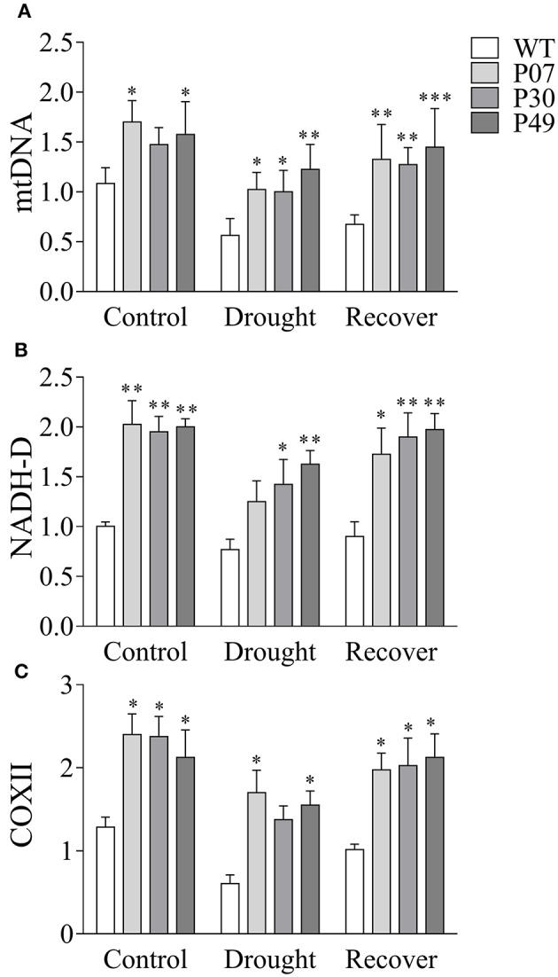 Figure 7