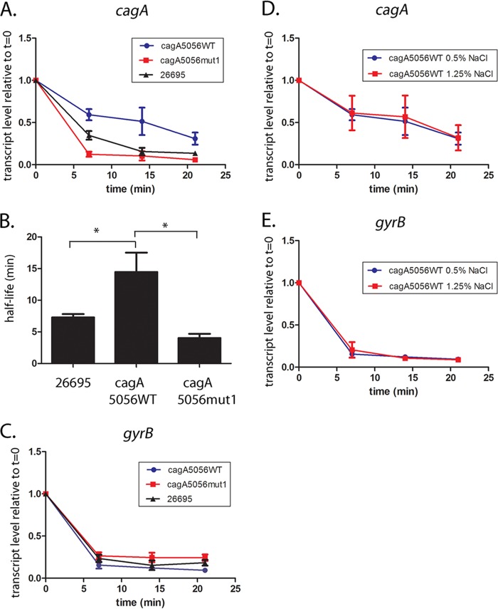 FIG 3