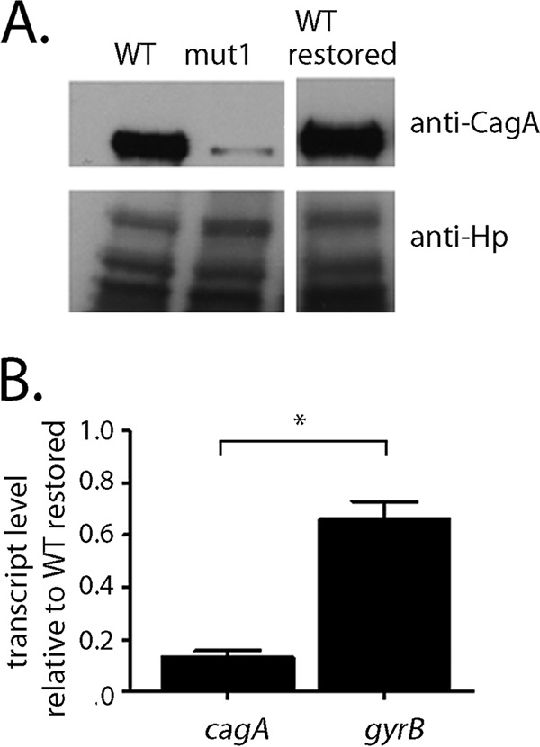 FIG 4