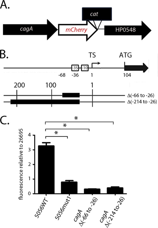 FIG 2