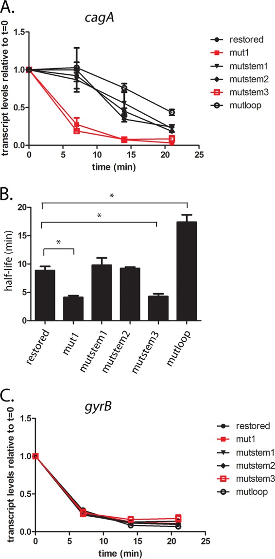 FIG 6