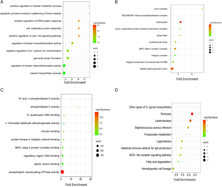 Analysis Of CircRNA miRNA mRNA Regulatory Network In Peripheral Blood analysis-of-circrna-mirna-mrna-regulatory-network-in-peripheral-blood