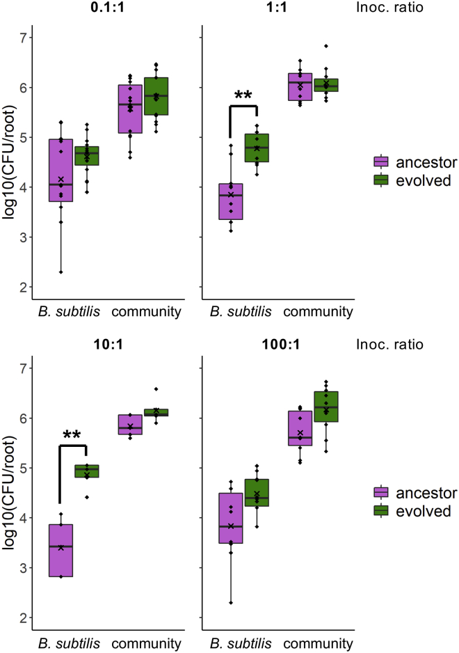 Figure 6