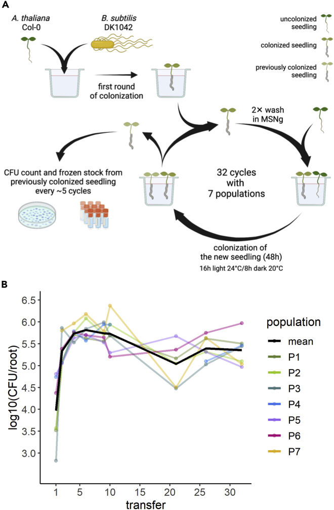 Figure 1