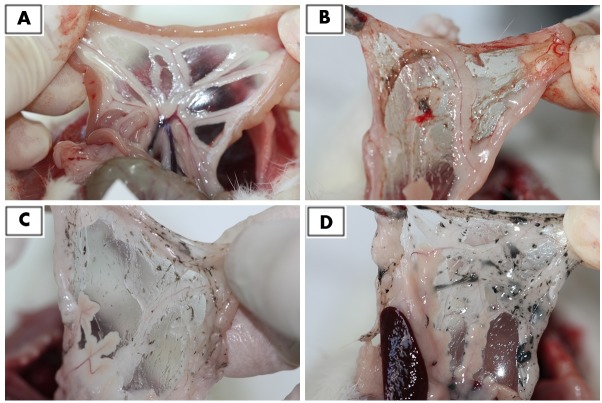 Fig 3