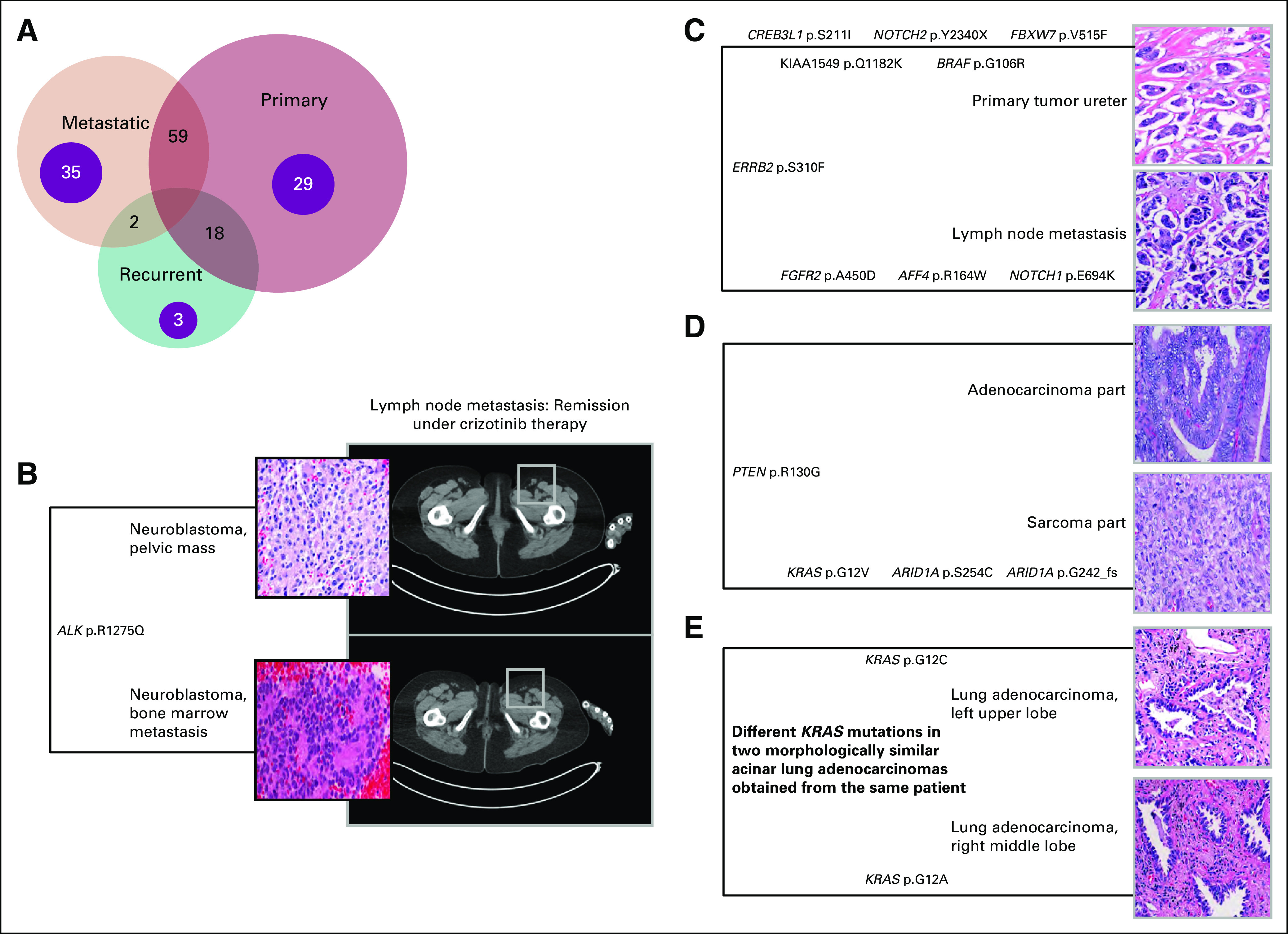 FIG 3.