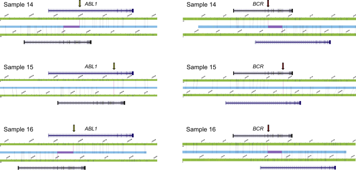 Figure 3