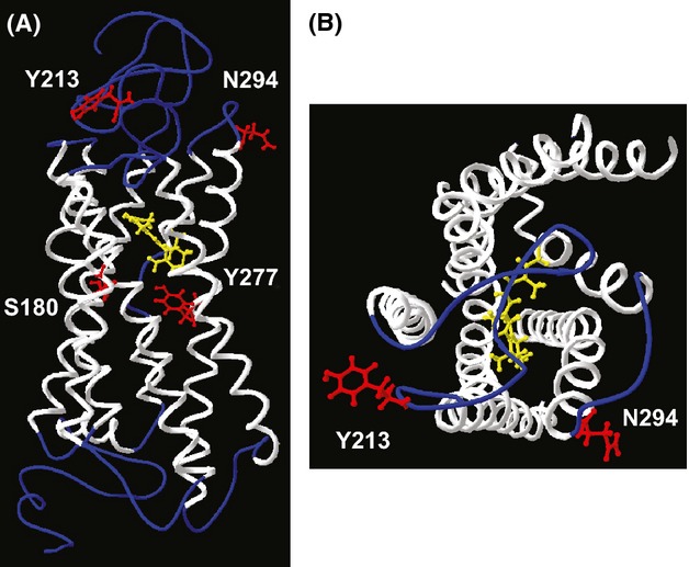 Fig 4