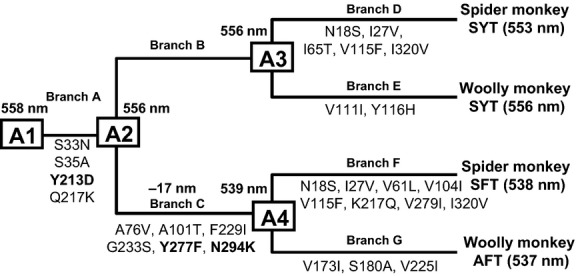 Fig 3