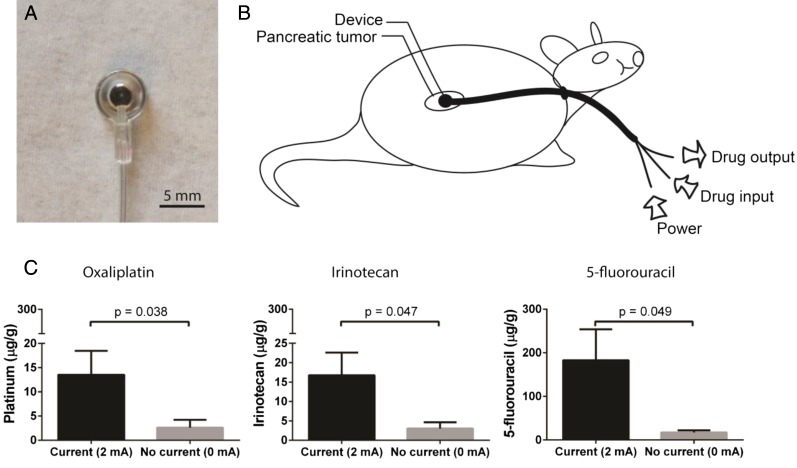 Fig. 1.