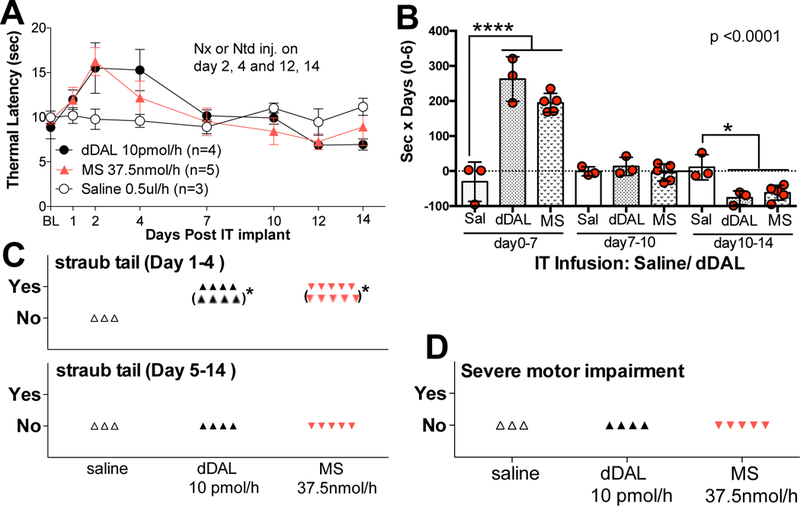 Figure 4: